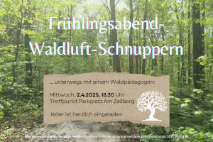 2025 04 Lichtblick am Abend Wald Quer